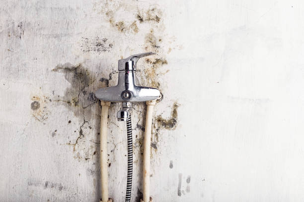 Best Office Mold Removal Services  in Gamewell, NC