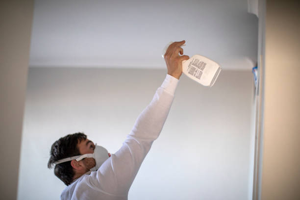 Best Toxic Mold Removal  in Gamewell, NC